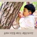 새울산유치원 이미지