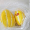 아뜰리에 멍 이미지