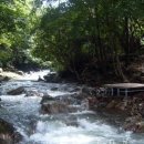 독서근린공원 이미지