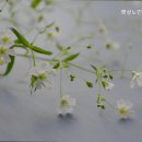 햇살노인전문요양원