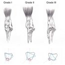 위브동물의료센터 이미지