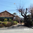 황토마당 이미지