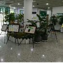 삼호도서관 이미지