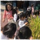 지예슬유치원 이미지