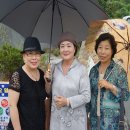 영운초등학교 티스토리