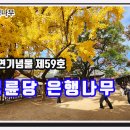 나무특별시 이미지