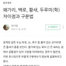 왜가리, 황새, 백로, 두루미 구별법 이미지