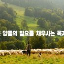 양들의식탁