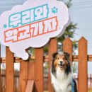 주식회사 올바른 이미지