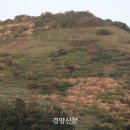제주초록섬 이미지