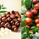 구룡농업 협동조합 이미지