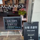 카카오공오삼(CACAO053)