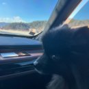 깜이네 | 블랙 포메라니안 깜이의 늦은 입양 후기