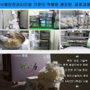 발효현미 꽃송이버섯 경신바이오 가루효 지 405g(4.5g*90스틱)