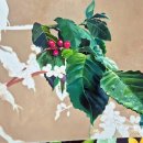 서리풀길 16 | 서초교대취미미술>쿤스트랩 전시가 1월로 변경되었어요!