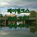 페어뱅크스 | 페어뱅크스 숙소 고민 끝 파이크스 워터프론트 로지 생생 후기