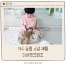 302-운정-302 | 파주 동물 체험 미어캣프랜즈, 아이와 갈만한 곳으로 추천