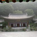 광덕사 - 1545 | 광덕사