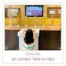인삼박물관 | 경북 영주 가족여행 무료 실내 가볼만한 곳 영주인삼박물관 후기