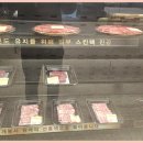 고기좋은날 이미지