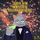 플랙스캣 이미지