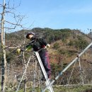 백운산장식당 이미지