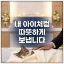 무지개투 | 전남 광주 반려동물 장례식장 타임투 보호자님들의 4월 진심 어린 후기