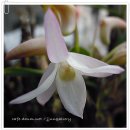 첨성대스파랜드 이미지