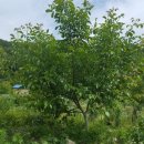 덕곡농장 이미지