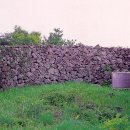 온평리-3 이미지