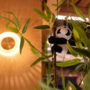 서객주퓨전중화요리 | 동대구역 맛집 우후죽순 가성비가 좋은 퓨전 한식주점