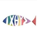금원유통 - 동구 백서로117번길 8-2 | 금원유통