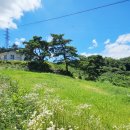 사방공인중개사사무소 이미지