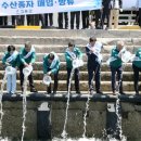 풀다 이미지
