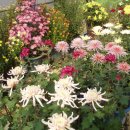 안곡농장 이미지