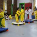 연세키즈태권도 이미지