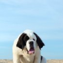 시원메디컬센타 이미지