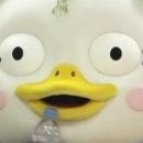 메이트메디컬 이미지