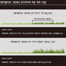 그린플레이