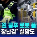 ﻿2천만 원 쿵푸 로봇 품절…&#34;비싼 장난감&#34; 실망도 / SBS 이미지