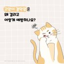 장호원동물병원