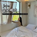 슬로메이 | 제주 슬로메이 에어비앤비 후기 | 판포포구 근처 감성 독채 펜션