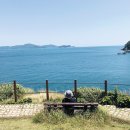 숲멍