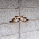 8월 1주, 휴가는 집에서 보내는 거야🏠