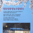 영동양봉영농조합법인 이미지