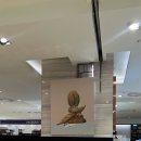 [서울 명동] &lt;롯데백화점 본점 - 뉘블랑쉬&gt;, 명동 베이커리 팝업 추천, 을지로입구역 빵집, 롯데백화점...