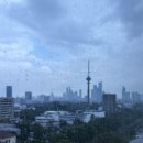 MY이솝 | [주간일기] 11/17~11/23 향은 수많은 기억을 저장한다