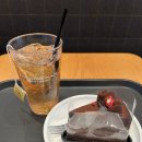 투썸플레이스더블 | [투썸플레이스] 클래식가또 🍫, twg 얼그레이 마신 후기 🥤