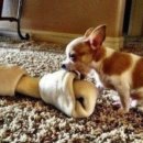 제이앤티 이미지