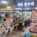 해밀플라워 이미지